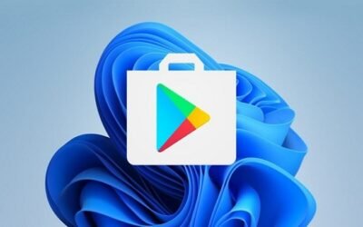 Play Store Download for PC