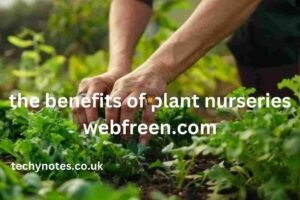 The Benefits of Plant Nurseries Webfreen.com